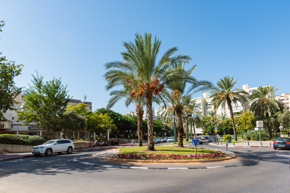 שכונת נווה אביבים. מתאימה את מבניה לרוח הזמן שכונת נווה אביבים. מתאימה את מבניה לרוח הזמן