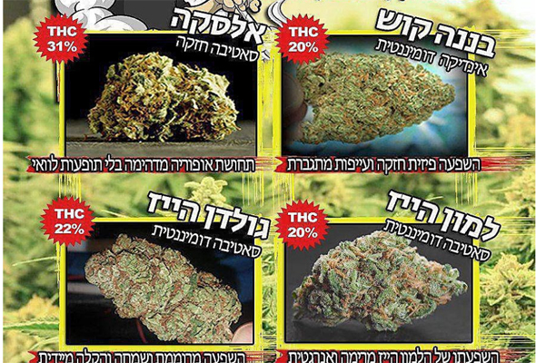 פרסום באפליקציית טלגראס. אחד מתוך אלפי פרסומים פרסום באפליקציית טלגראס. אחד מתוך אלפי פרסומים