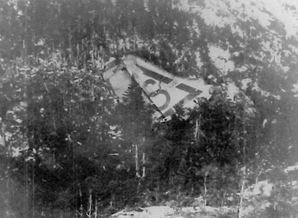 זנב מטוס B36 שהתרסק בניופאונדלנד זנב מטוס B36 שהתרסק בניופאונדלנד