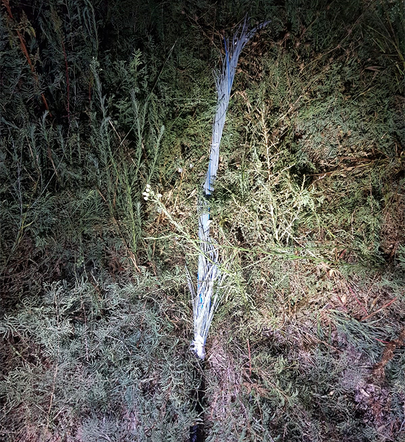 החבלה בכבלים החבלה בכבלים
