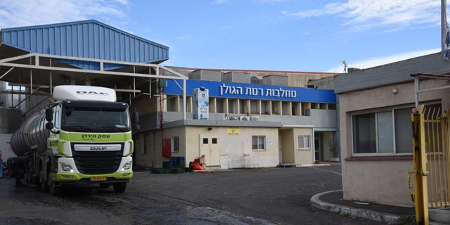 מיזוג חלבי: מחלבות רמת הגולן ומחלבת השומרון מאחדות כוחות