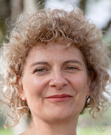 מיכל רוזן מיכל רוזן