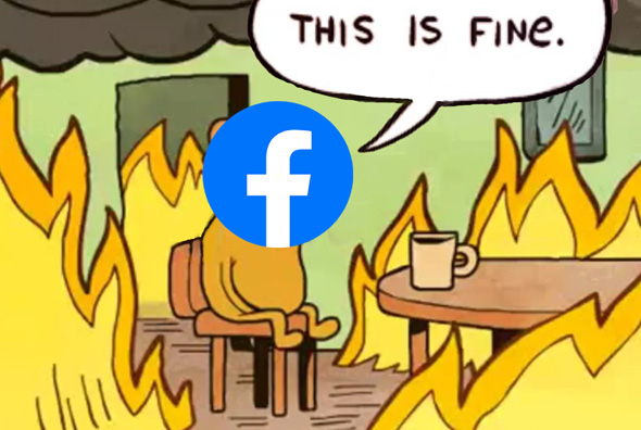 הביקורת על פייסבוק: לא עוצרת את האלימות ברשת