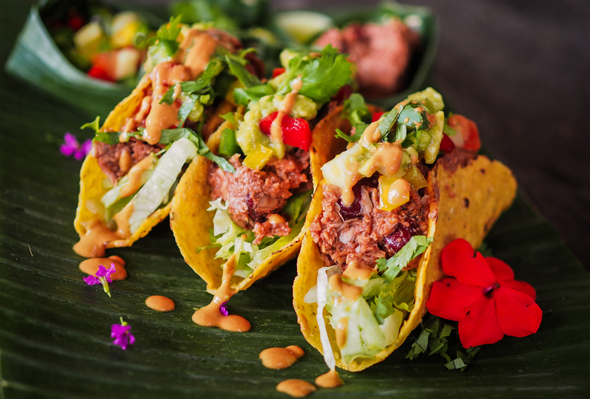 Vegan tacos. Photo: Shutterstock