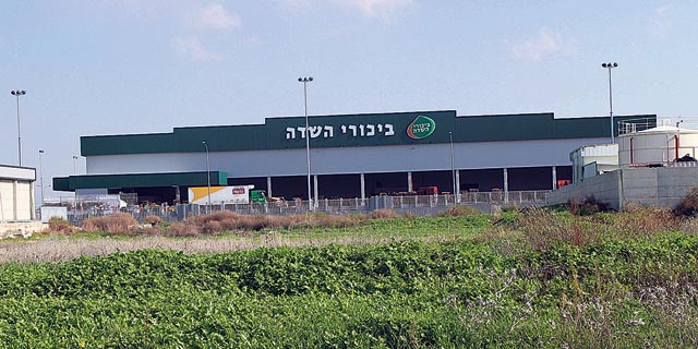 נטו השתחררה מהערבות לביכורי השדה דרום