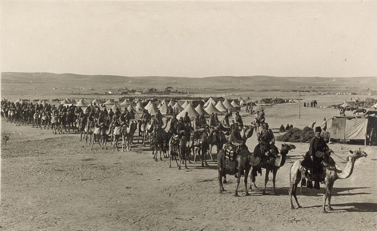 שיירת גמלים של חיל המשלוח המצרי בשירות הבריטים. מלחמת העולם הראשונה שיירת גמלים של חיל המשלוח המצרי בשירות הבריטים. מלחמת העולם הראשונה