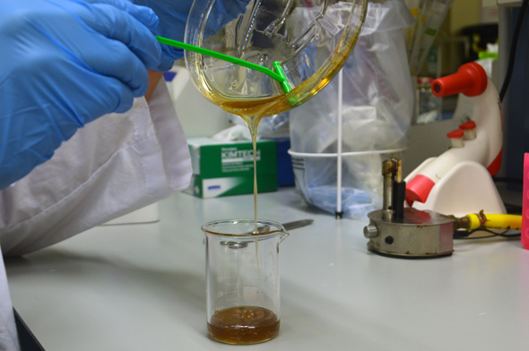 The students' nectar with enzymes. Photo: The Technion's BeeFree delegation