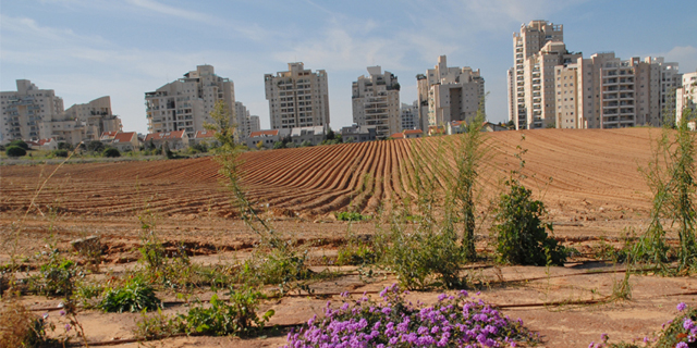קרקע חקלאית פרטית: מה עושים כשתוכנית חדשה לא מייעדת אותה למגורים?