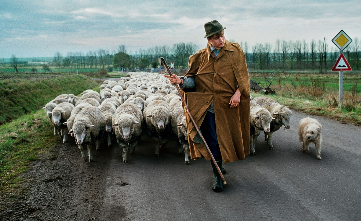 צילום: © Steve McCurry צילום: © Steve McCurry