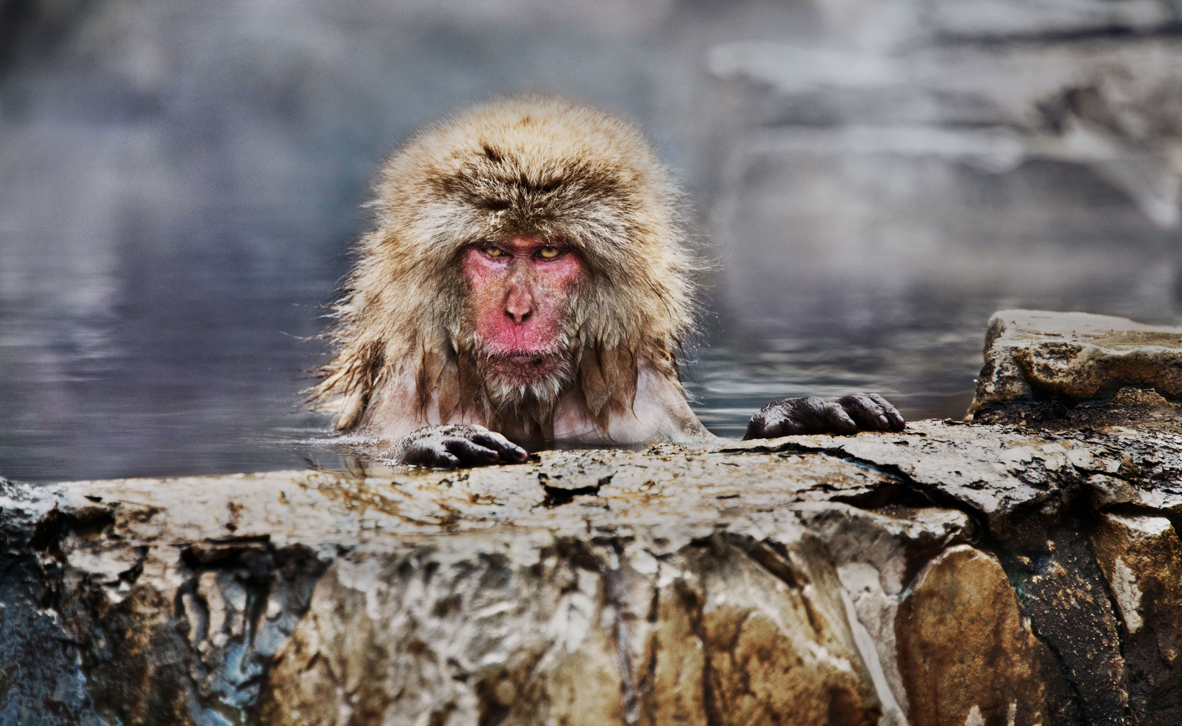 צילום: © Steve McCurry צילום: © Steve McCurry