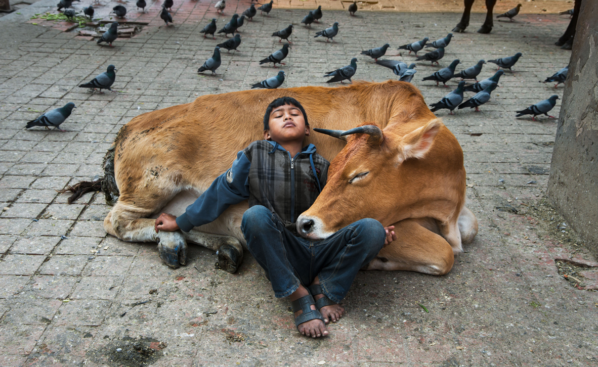 צילום: © Steve McCurry צילום: © Steve McCurry