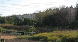 נווה שרת לוינשטין זירת הנדלן , צילום: ORI (ויקיפדיה) נווה שרת לוינשטין זירת הנדלן , צילום: ORI (ויקיפדיה)