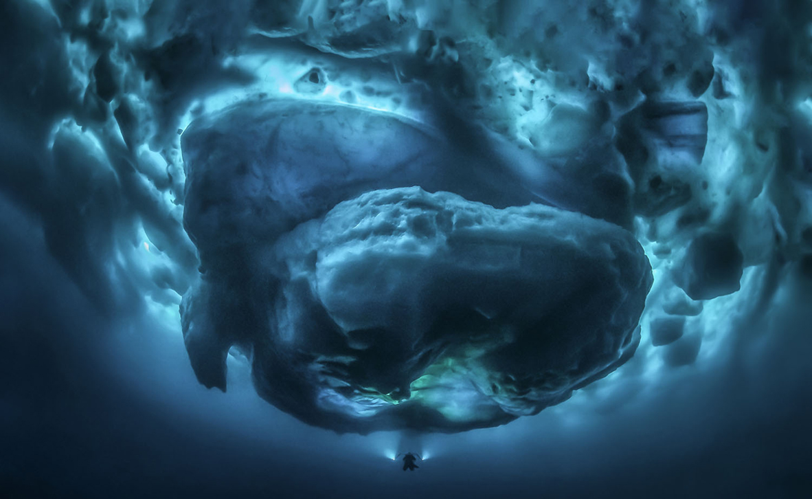 צילום: Tobias Friedrich / Ocean Art צילום: Tobias Friedrich / Ocean Art