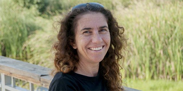 כך ניתן למנוע הצפות בערים