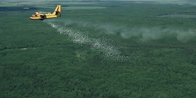 Israeli Defense Contractor Elbit Successfully Tests Aerial Firefighting Technology