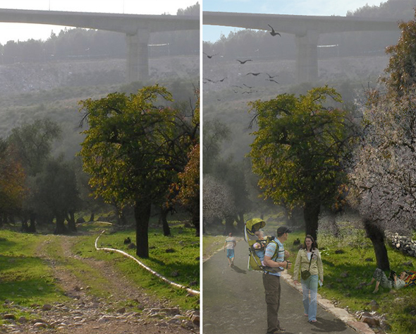 הדמיית פארק הלימונים הדמיית פארק הלימונים