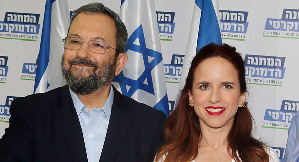 חשב הכנסת דורש מאהוד ברק וסתיו שפיר 8 מיליון שקל-בקרוב עיקולים לסתיו שפיר ואהוד ברק אישית YE2532969_l