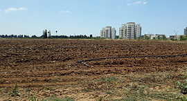 קרקע חקלאית חדרה זירת הנדלן, צילום: אריק דורי קרקע חקלאית חדרה זירת הנדלן, צילום: אריק דורי