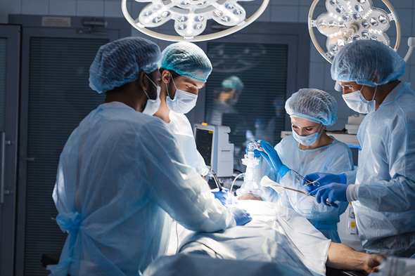 Doctors preforming a transplant. Photo: Shutterstock