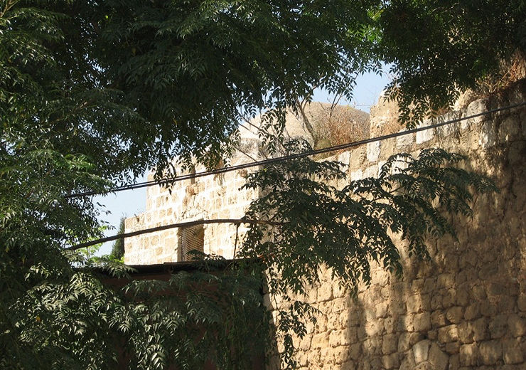 מבט נוסף על קבר סלמה אבו האשם מבט נוסף על קבר סלמה אבו האשם