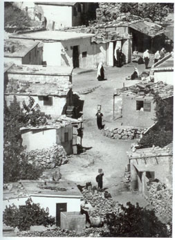 החיים בכפר סלמה החיים בכפר סלמה