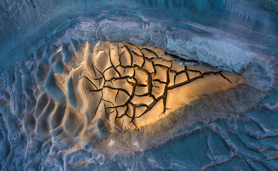 צילום: / BigPicture Natural World Photography Competition Juan Jesús González Ahumada צילום: / BigPicture Natural World Photography Competition Juan Jesús González Ahumada