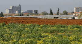 קרקע חקלאית זירת הנדלן, צילום: אוראל כהן קרקע חקלאית זירת הנדלן, צילום: אוראל כהן