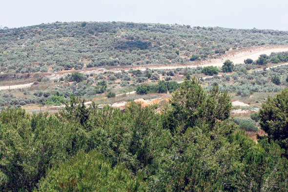 עמק חפר. נתניה דורשת ממנה 570 דונם לצורך בניית שכונת מגורים עמק חפר. נתניה דורשת ממנה 570 דונם לצורך בניית שכונת מגורים