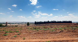 קרקע חקלאית זירת הנדלן, צילום: אוראל כהן קרקע חקלאית זירת הנדלן, צילום: אוראל כהן