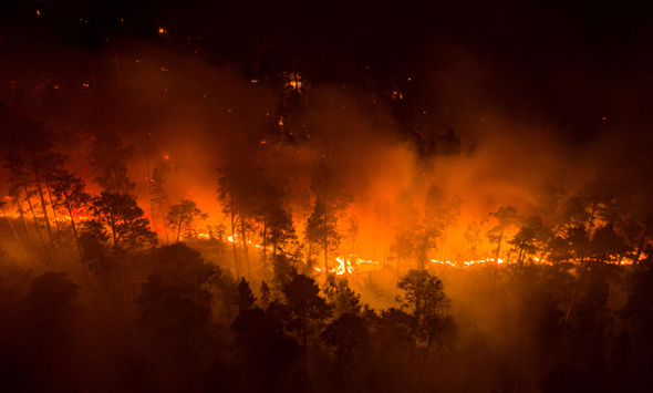 שריפות יער בסיביר 
