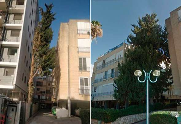 הפרויקט בשרון עם עץ הברוש בצדו, לפני הריסת הבניין הישן ואחריה הפרויקט בשרון עם עץ הברוש בצדו, לפני הריסת הבניין הישן ואחריה