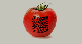 פודטק 2020 כנס כלכליסט אגריטק, צילום: שאטרסטוק 