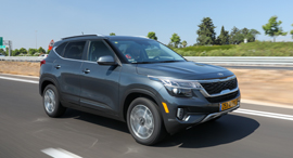 קיס סלטוס, צילום: רונן טופלברג