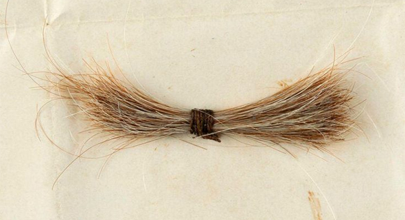 קווצת השיער של לינקולן שנמכרה בבוסטון