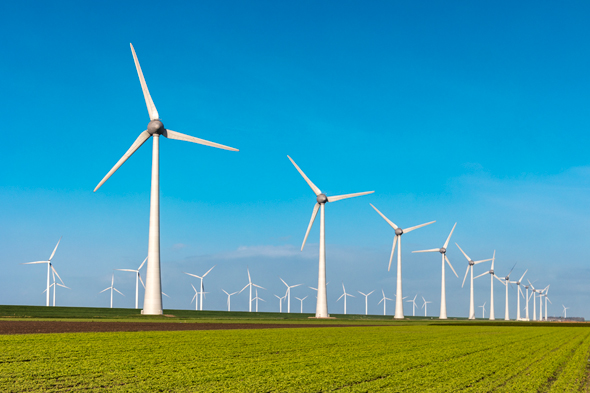 The Bird Foundation has set aside $4 million for joint projects that help bring alternative energies into the market. Photo: Shutterstock