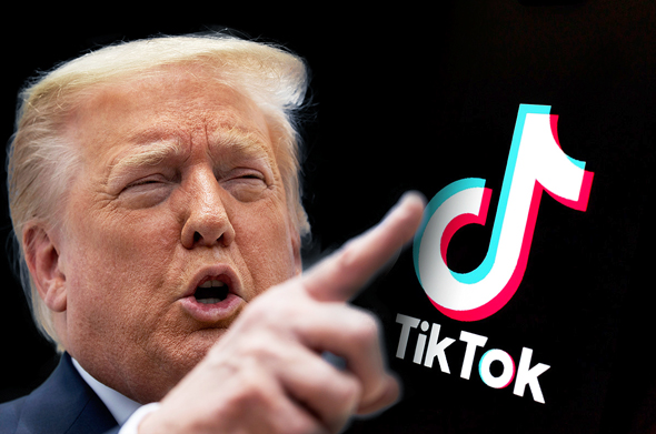 נשיא ארה"ב דונלד טראמפ וטיקטוק נשיא ארה"ב דונלד טראמפ וטיקטוק
