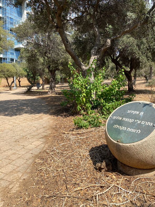 הגינה הסמלית משהו "שנתרמה" לציבור הגינה הסמלית משהו "שנתרמה" לציבור