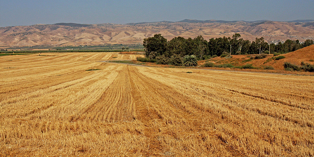 מועצת רשות המים: בקעת הירדן תחובר למערכת הארצית של מקורות