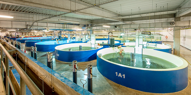 Israel’s AquaMaof signs $90 million deal to bring its indoor fish growing tech to Nevada