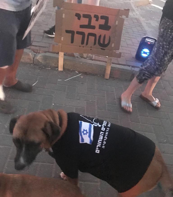 הפגנה בכרכור הפגנה בכרכור