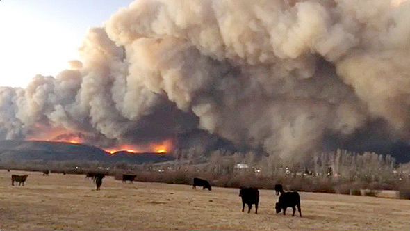 שריפת הענק בקולורדו, צילום: רויטרס