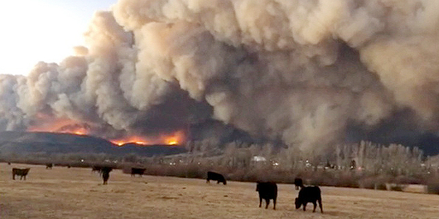 שריפת ענק בקולורדו: &quot;ירד שלג של אפר&quot;