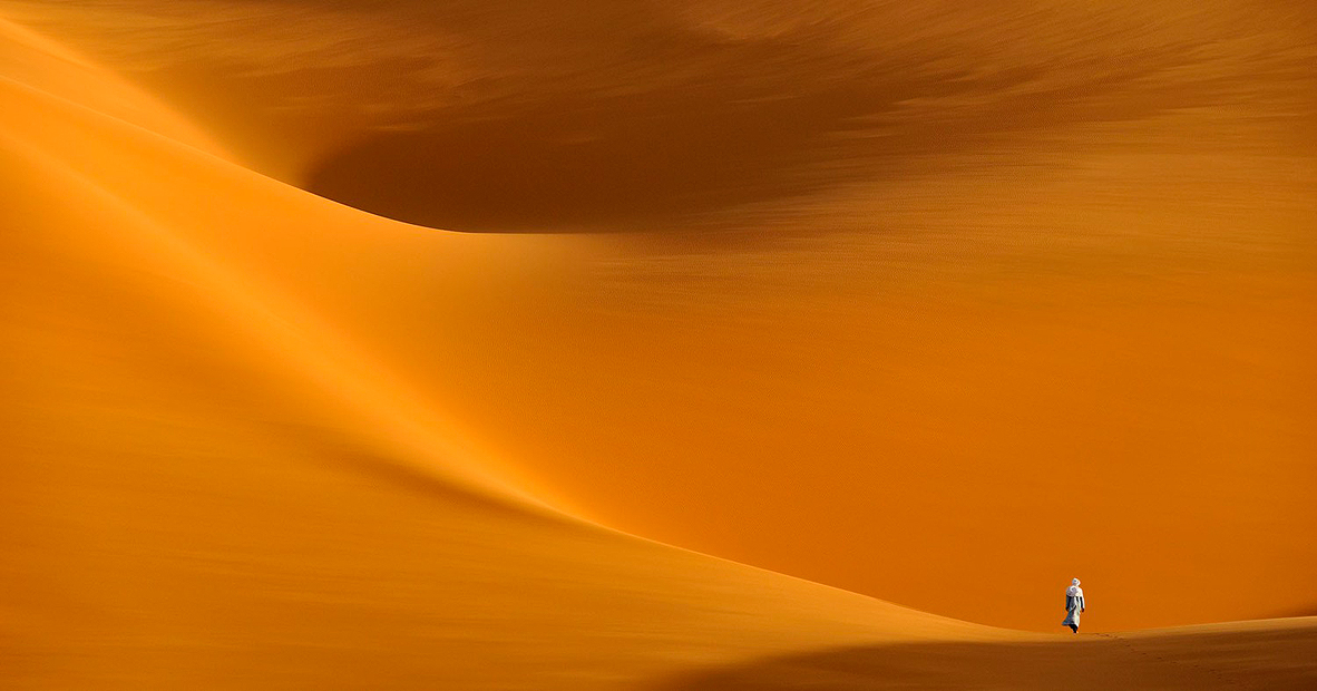 צילום: Marsel van Oosten Epson International Pano Awards צילום: Marsel van Oosten Epson International Pano Awards