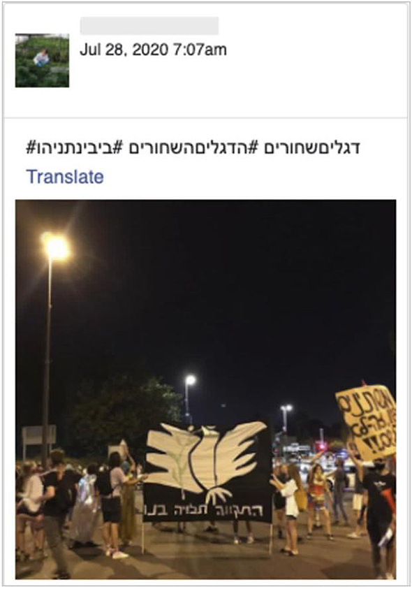 אחד העמודים הפיקטיביים שהוסרו אחד העמודים הפיקטיביים שהוסרו