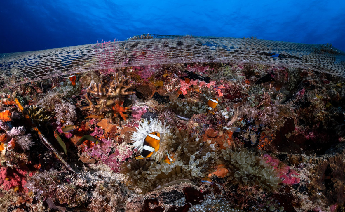 צילום: : inaugural Ocean Photography Awards / Henley Spiers צילום: : inaugural Ocean Photography Awards / Henley Spiers