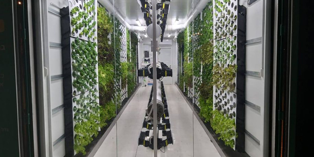 An inside look at the vertical farms. Photo: Vertical Field