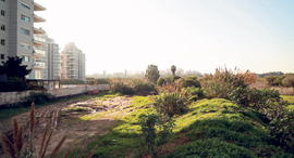 קרקע מצפון לשכונת נוה גן רמת השרון, צילום: אוראל כהן