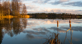 אגם בפינלנד, צילום: שאטרסטוק
