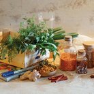  Xnet, צילום: יוסי סליס