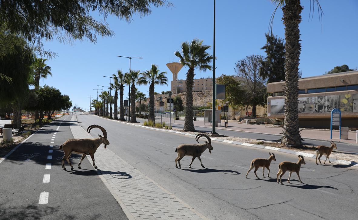 צילום: אי פי איי צילום: אי פי איי